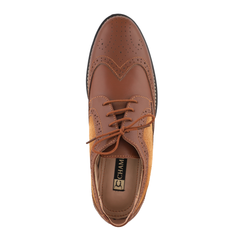 Chamda Classic Brown Brogue Lace-Up Genuine Leather Shoes for Men